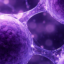 ANA Screen (Antinuclear Antibodies)