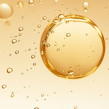 Fasting Insulin + HOMA-IR