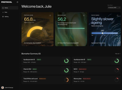 Protocol member dashboard preview