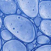 Thyroglobulin Antibodies (TgAb)